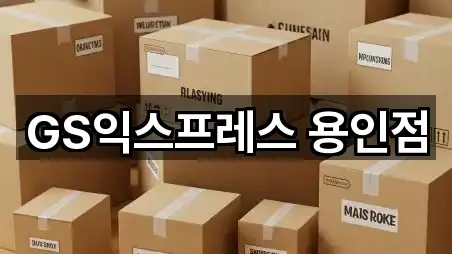 용인시 처인구 모현읍 이사 5곳 한 번에 정리