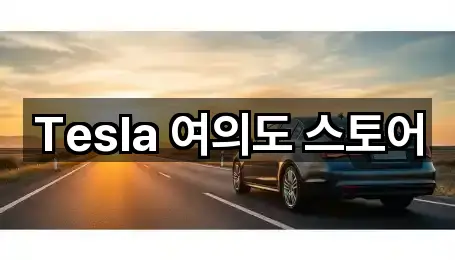 Tesla 여의도 스토어