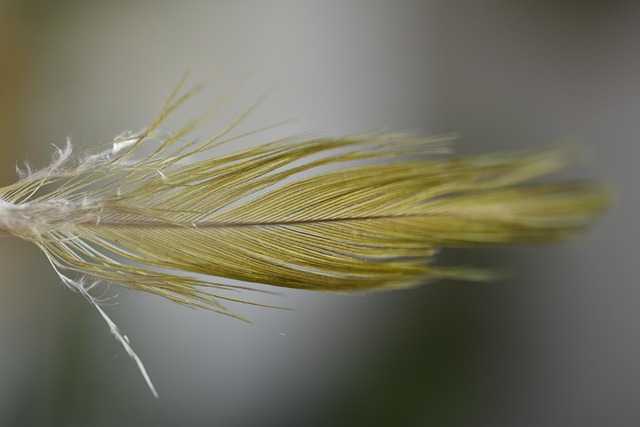 표피낭종001.jpg